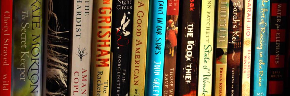 Megan Ballinger banner