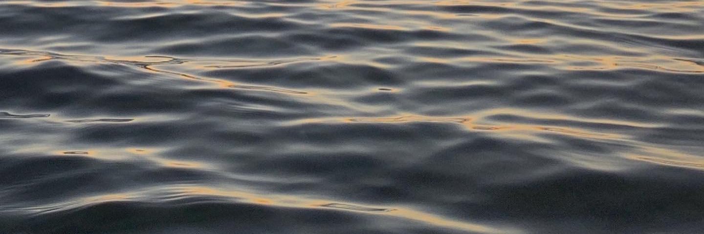 𝖕𝖊𝖕𝖎𝖓𝖎𝖑𝖑𝖆 𝖇𝖊𝖑𝖎𝖈𝖔𝖓𝖆 banner