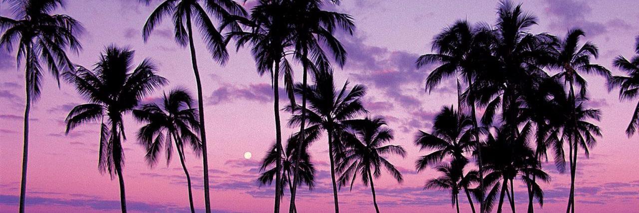 __almaluna's profile banner image