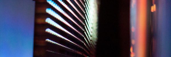 lizign Profile Banner