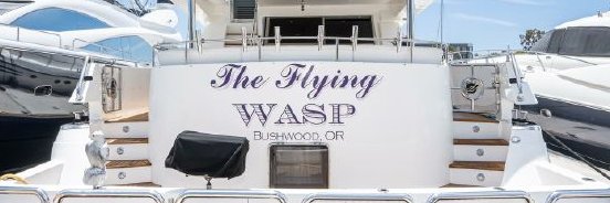 TheFlyingwaspp's profile banner image