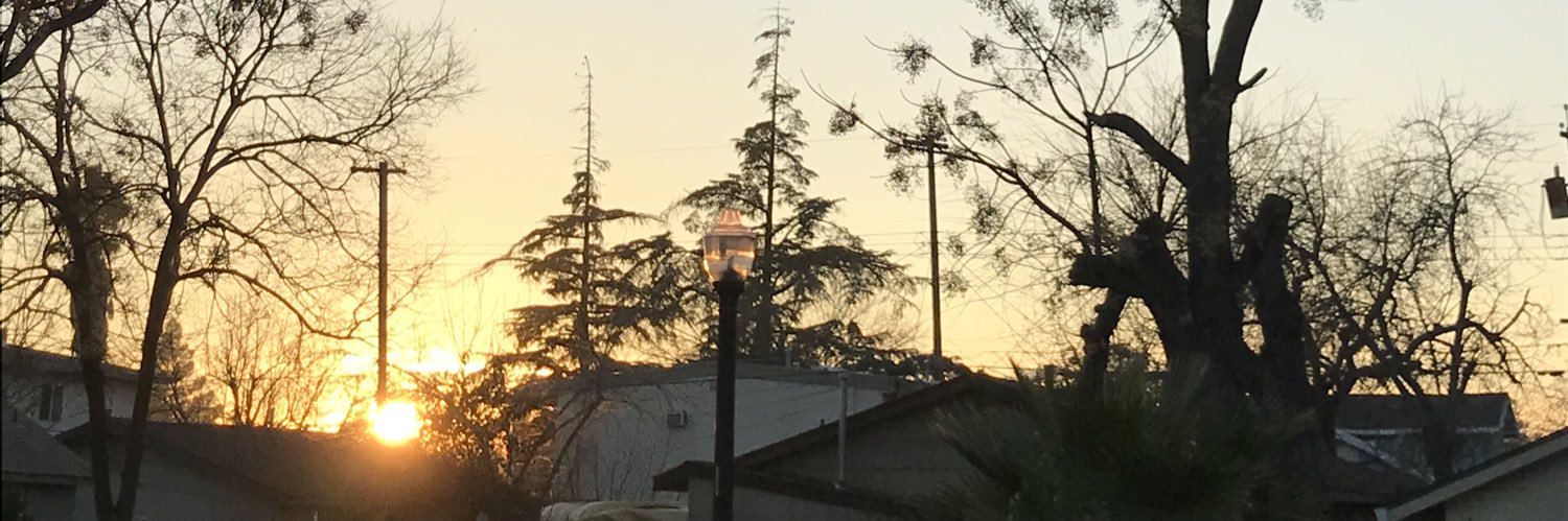 shelbyd's profile banner image