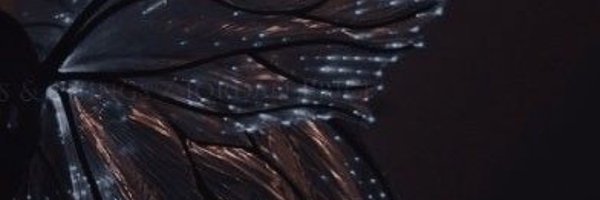 rose43456 Profile Banner