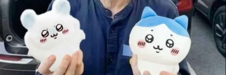 Pawnlapins's profile banner image