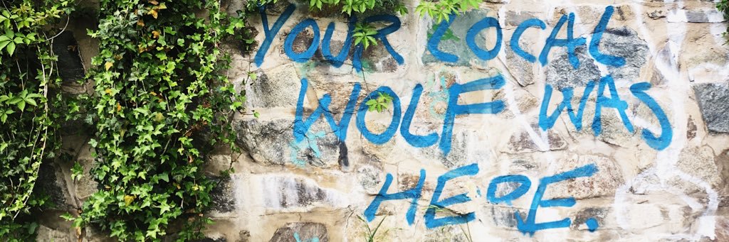 Kathleen Pointer banner