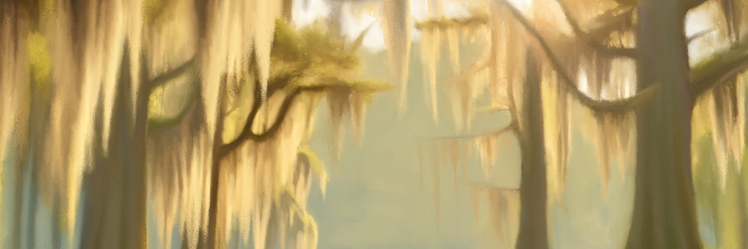 Clary Pollack banner
