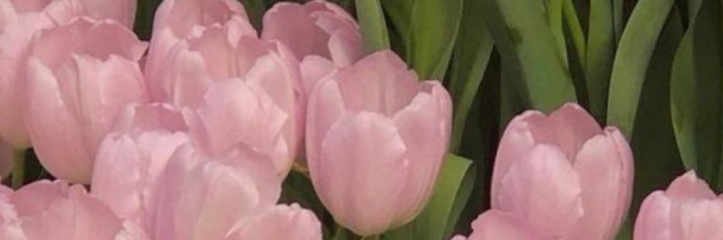 haileyyy banner
