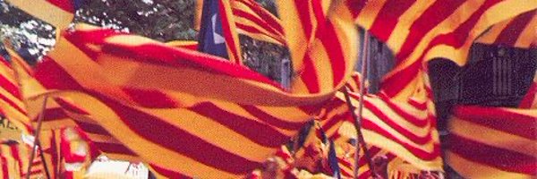 ansufatina Profile Banner
