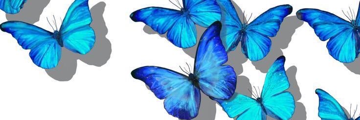 imontiele's profile banner image