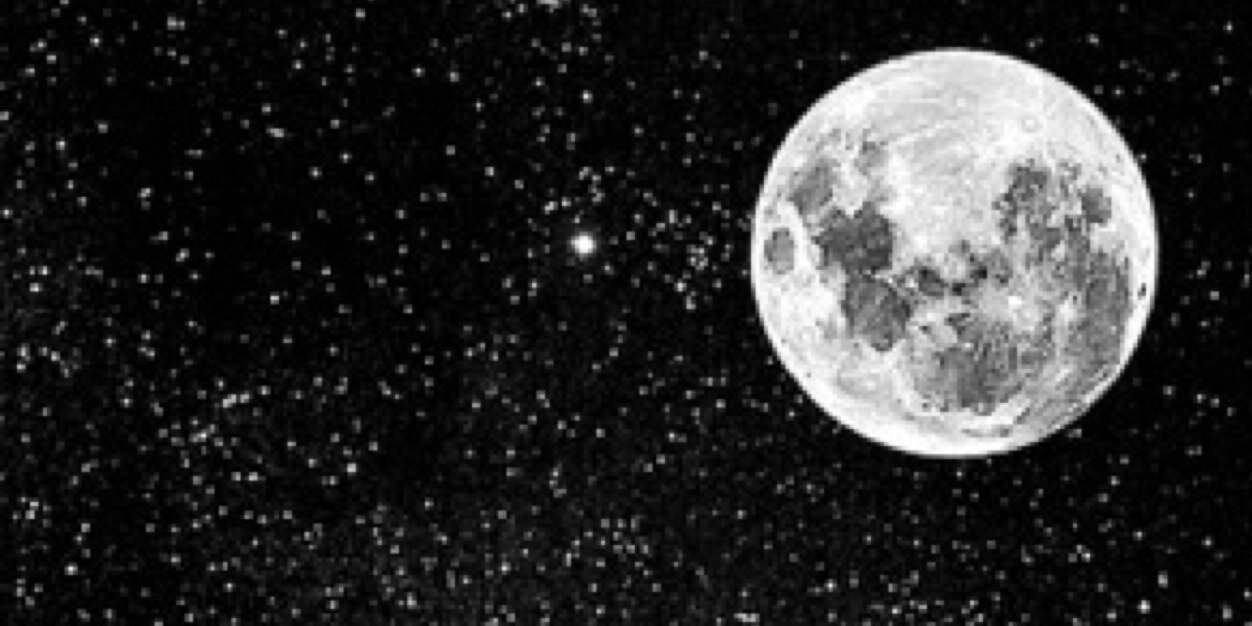 inesmpr's profile banner image