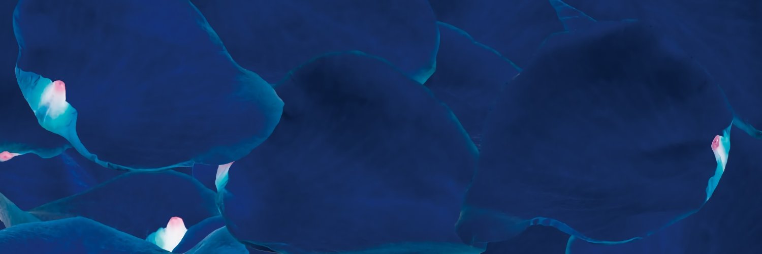 SirDuscae's profile banner image