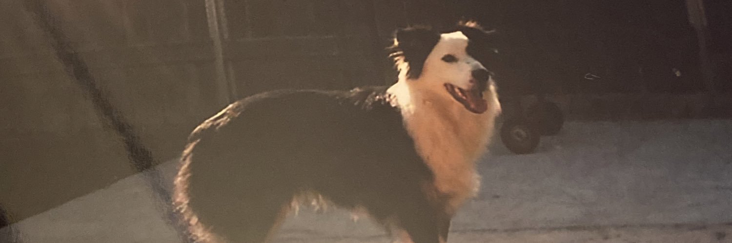 StevenIsTrash's profile banner image