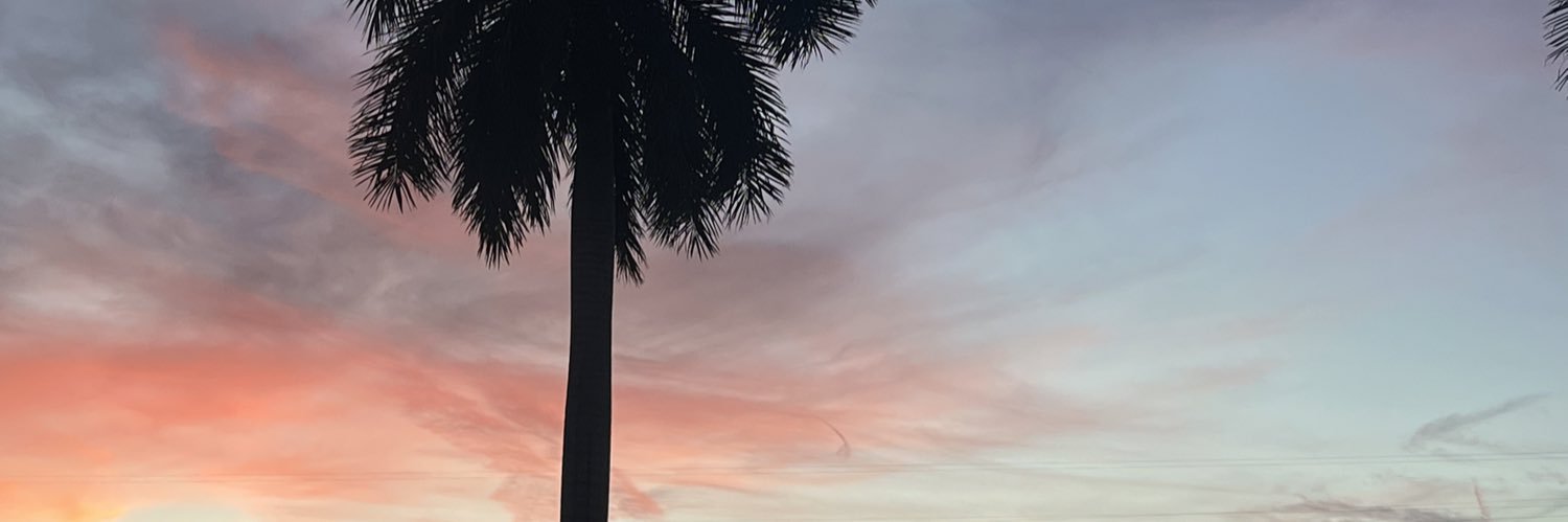 swordinurheart's profile banner image