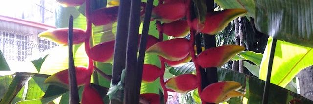 mayettepr's profile banner image
