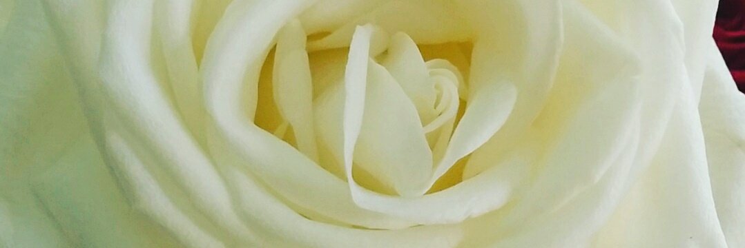 tfield73's profile banner image