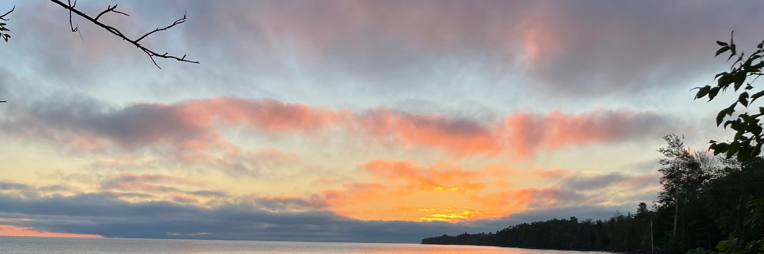 Brittney Braxton banner