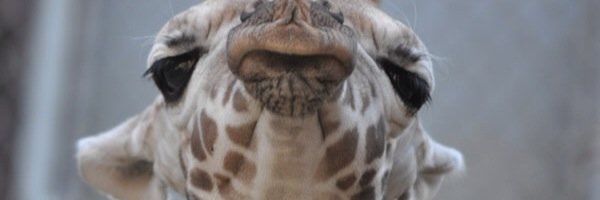 ryan_stanfill's profile banner image