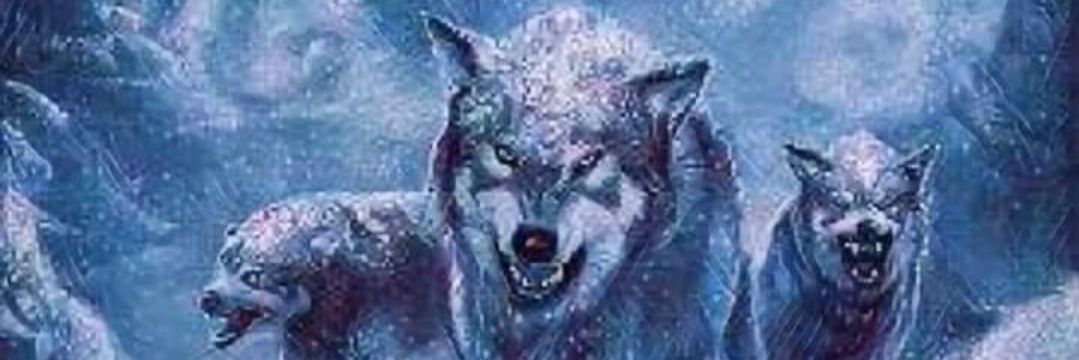 Paula Gregory banner