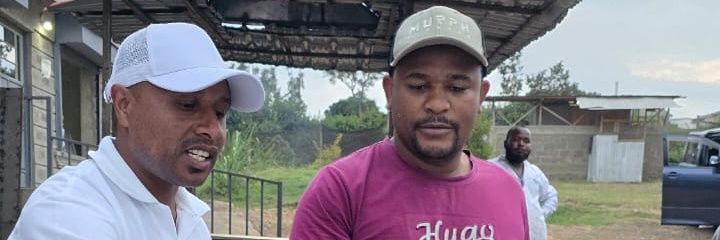 willymayoli's profile banner image