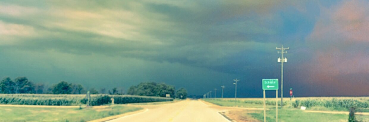 Nikki Davison banner