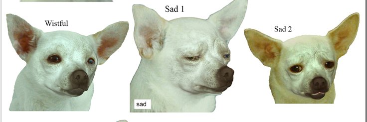 bhoneyy's profile banner image