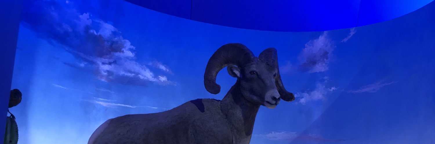 mikegra97's profile banner image