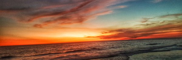 twitteodevida Profile Banner