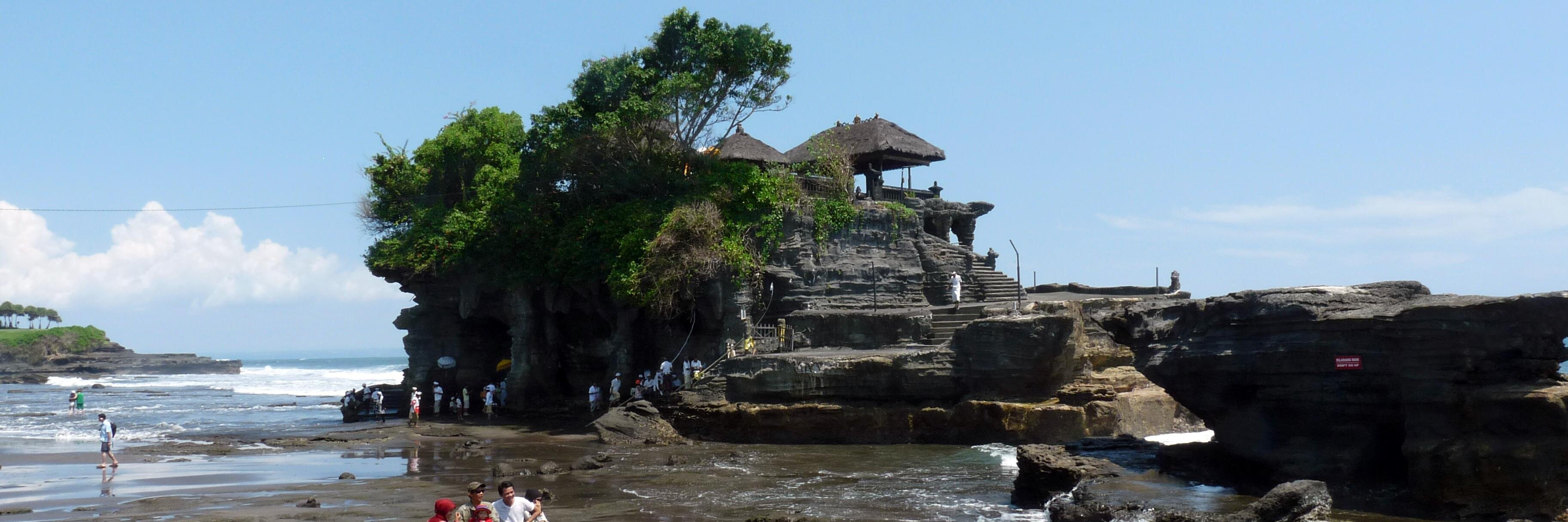 Prolet Miteva banner