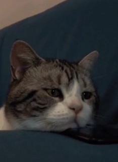 Хочу в 2013-й banner