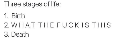 debunk hashem banner