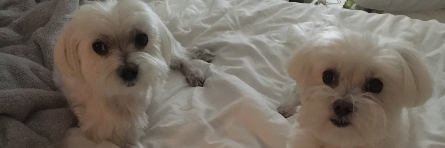 SweetTexasGurl's profile banner image