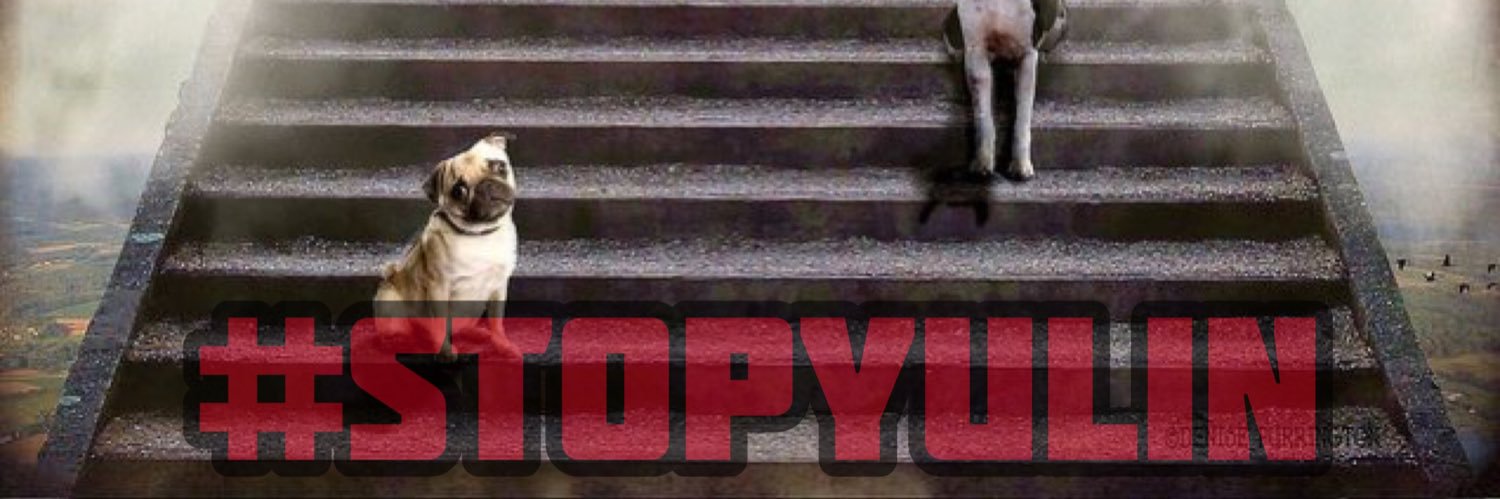litepimp's profile banner image
