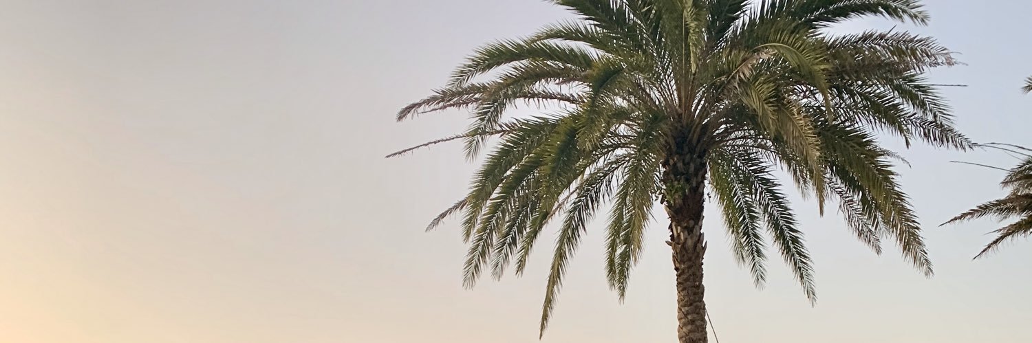 shakeandbakeee's profile banner image