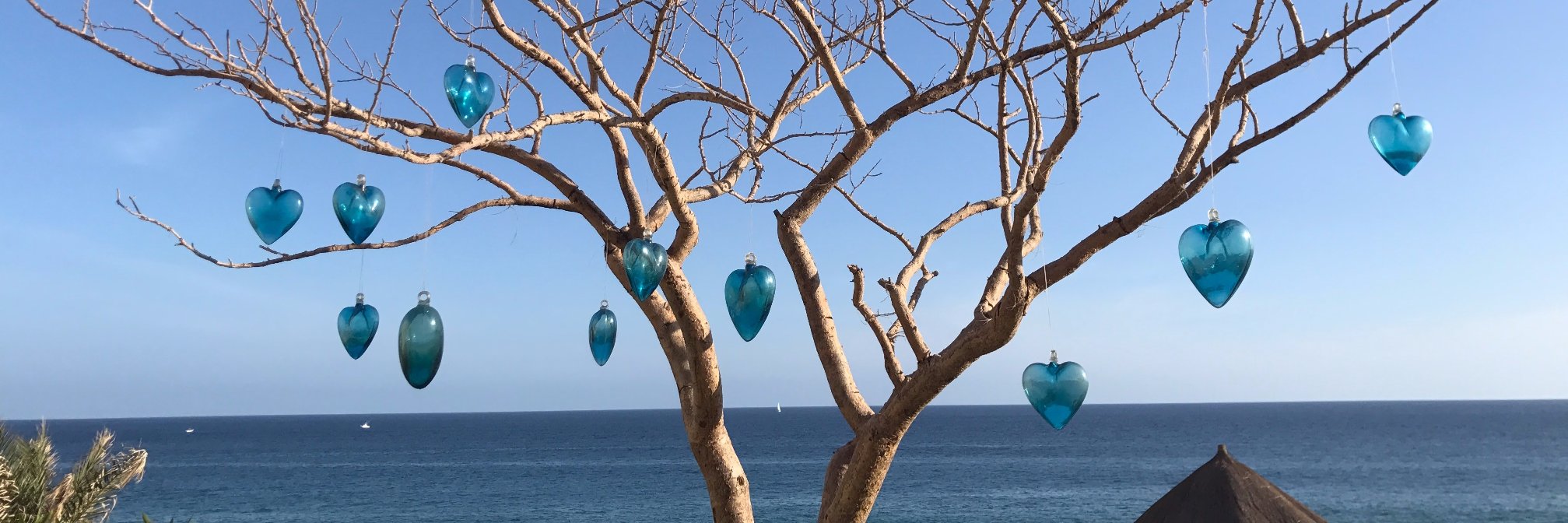 Laura Galbreath banner