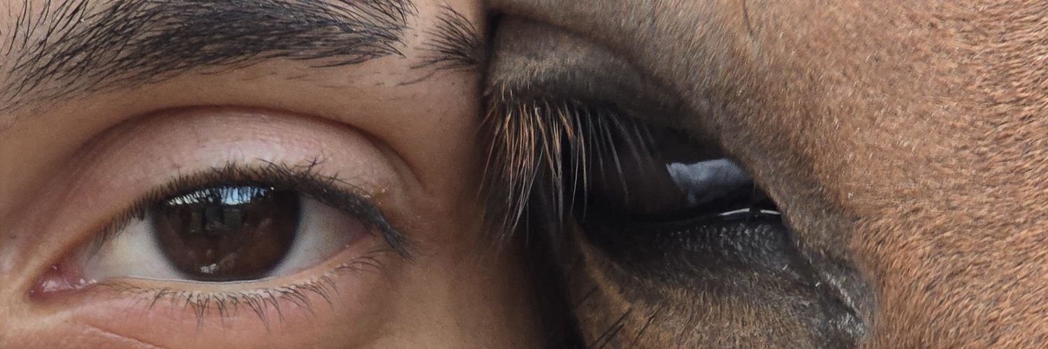 enesatlamazz's profile banner image