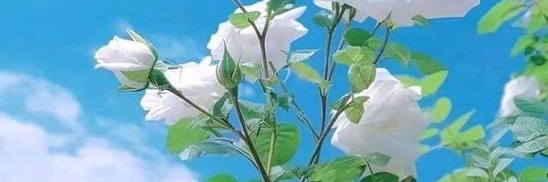 InogodbutallahI Profile Banner