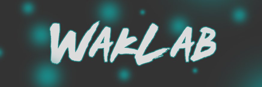 WakLab banner