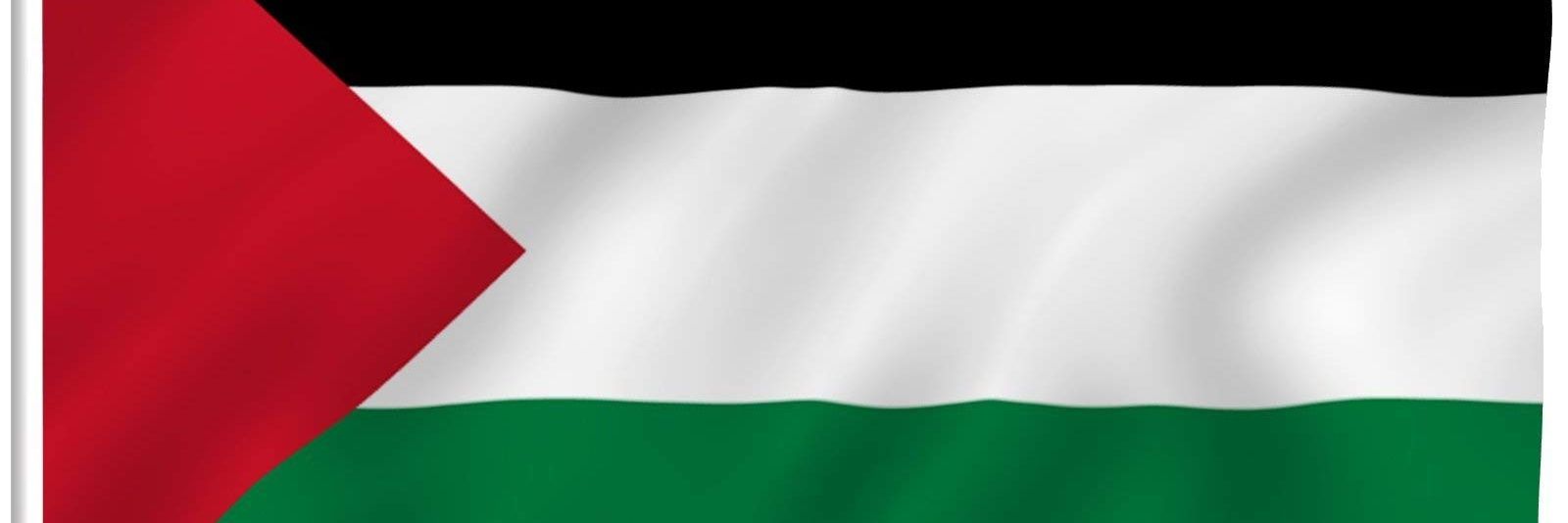 Marei M 🇵🇸 🇦🇺's banner