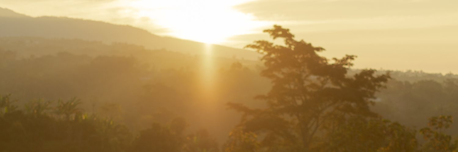 febnadr's profile banner image