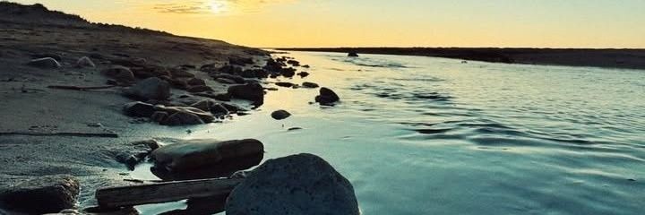 Alina banner