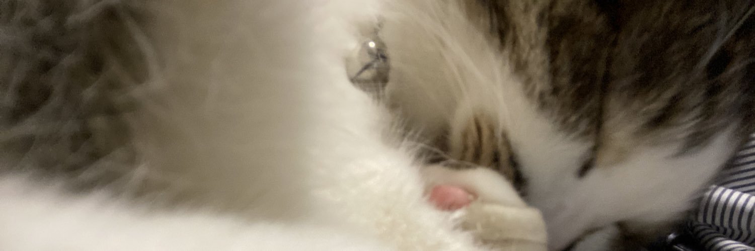 kas_____u's profile banner image