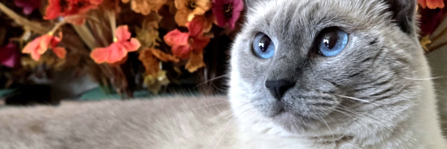 KennaRae00's profile banner image