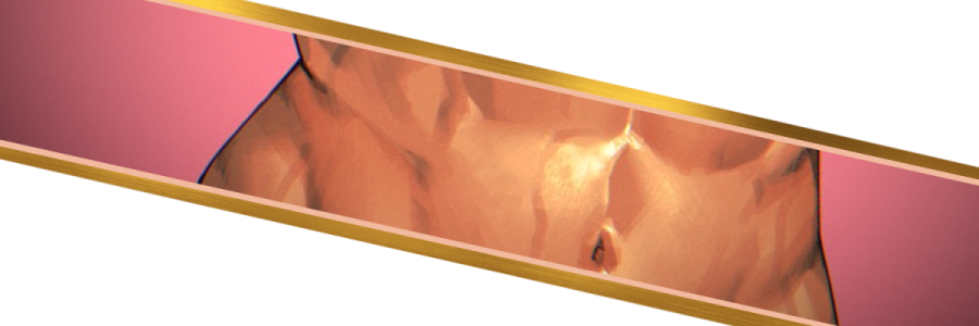 ᗪαɾια banner