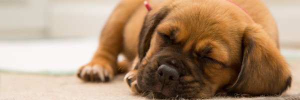 KryptosNeeds Profile Banner