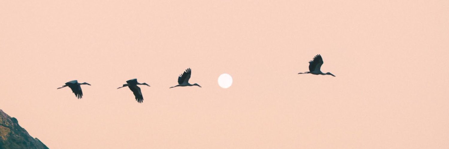 nqasrinaa's profile banner image