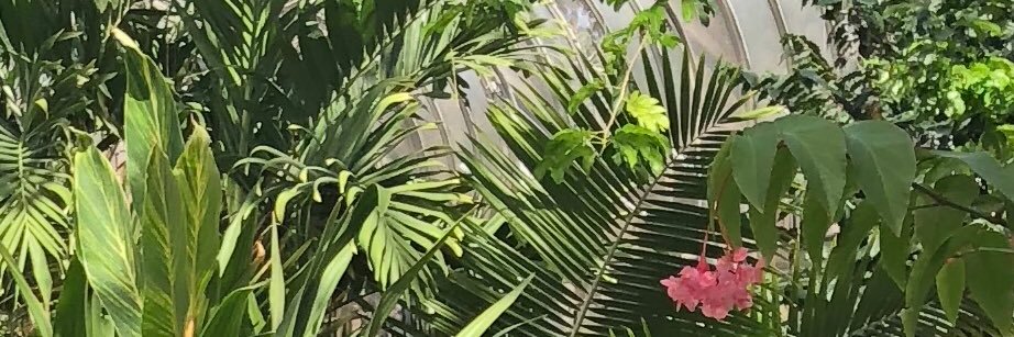 phen0menal64's profile banner image
