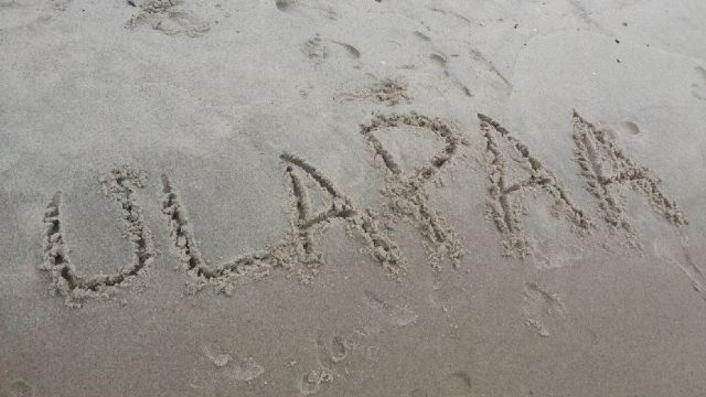 ulapaa's profile banner image