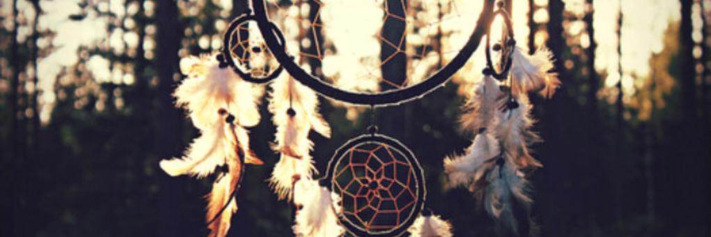 wildfirecharm's profile banner image