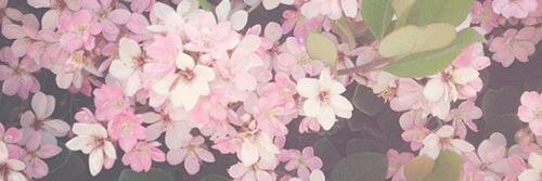 alisawhitess's profile banner image