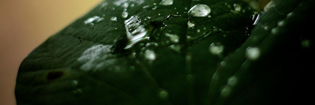 widhibnkt's profile banner image